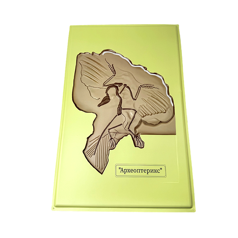 Relief model of archaeopteryx